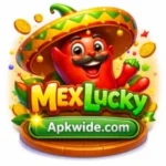 MexLucky‌‍​‍‌